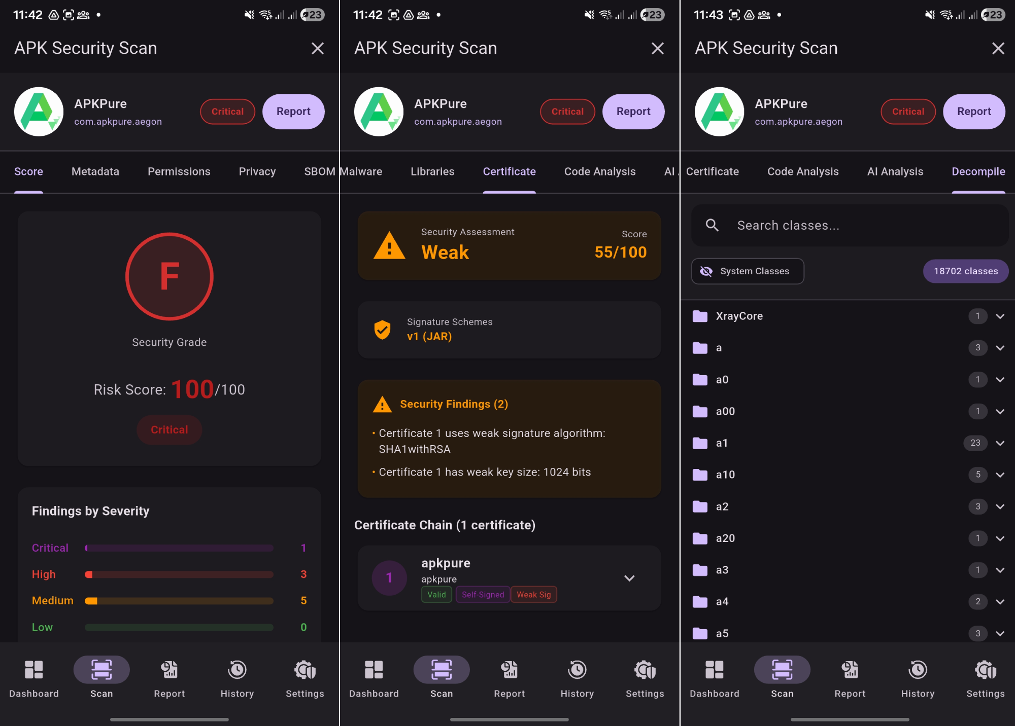 MobInspect Security Results with Risk Score